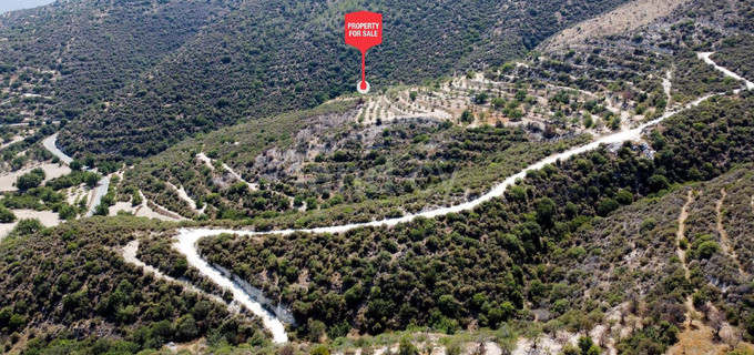Campo agrícola a la venta en Limassol