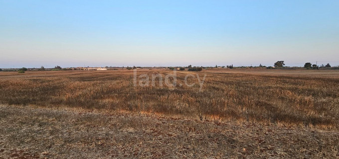 Residential plot for sale in Frenaros