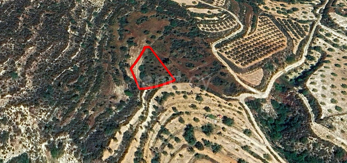 Αγροτικό αγροτεμάχιο προς πώληση - Λεμεσός