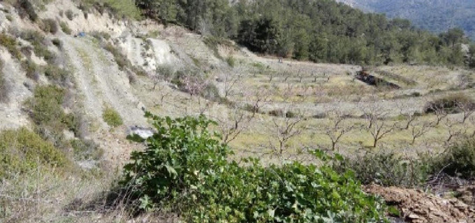 Αγροτικό αγροτεμάχιο προς πώληση - Λεμεσός