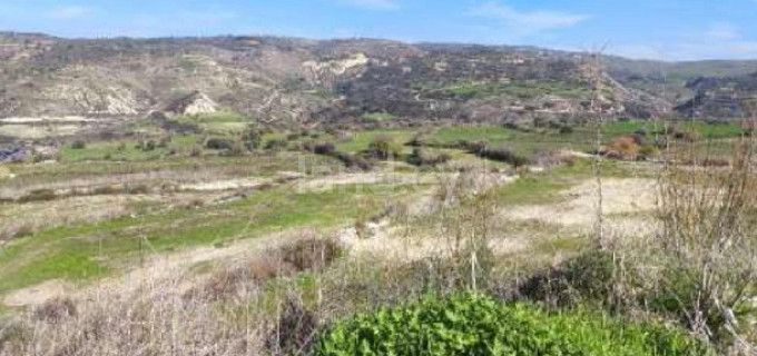 Αγροτικό αγροτεμάχιο προς πώληση - Πάφος