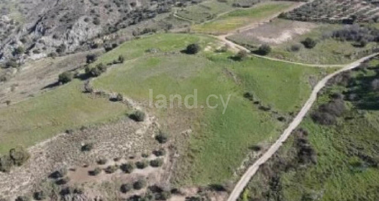 Terrain agricole à vendre à Paphos