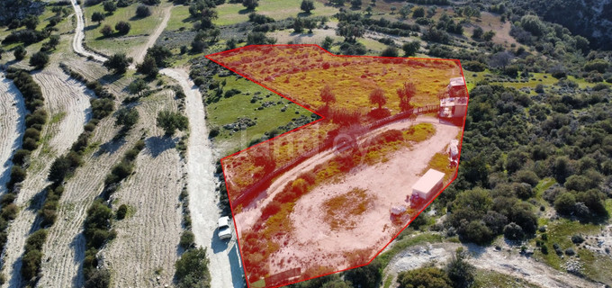 Agricultural field for sale in Limassol