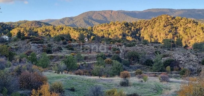 Residential field for sale in Limassol