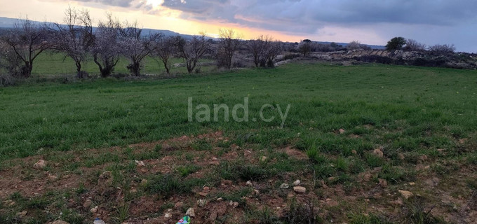 Landwirtschaftliches Baugebiet in Limassol zu verkaufen