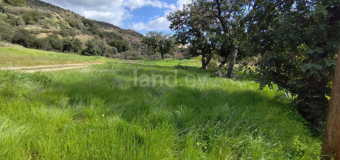 Landwirtschaftliches Baugebiet in Limassol zu verkaufen
