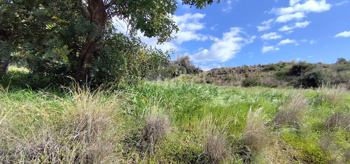 Landwirtschaftliches Baugebiet in Limassol zu verkaufen