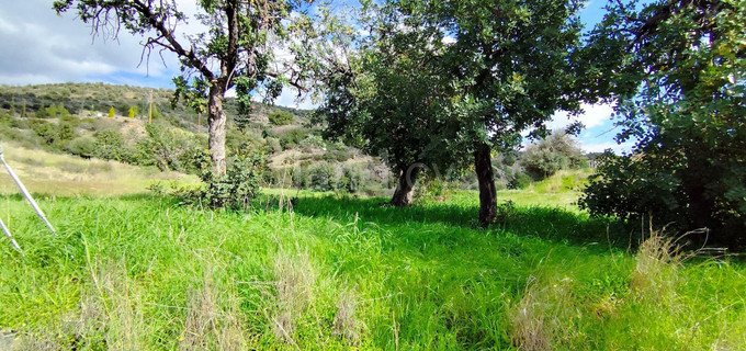 Landwirtschaftliches Baugebiet in Limassol zu verkaufen