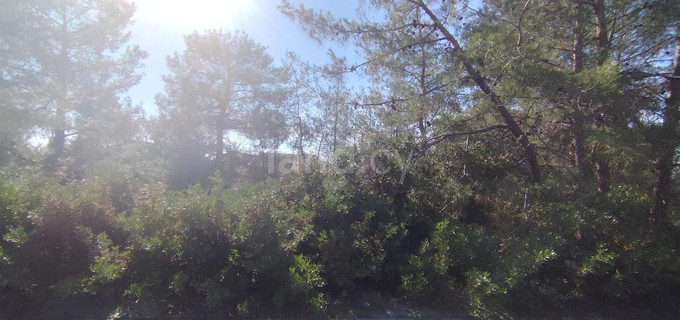 Landwirtschaftliches Baugebiet in Limassol zu verkaufen