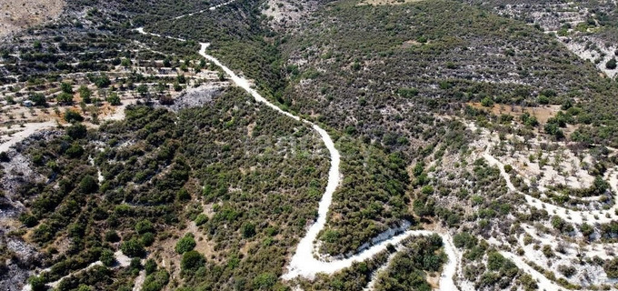 Campo agrícola a la venta en Limassol