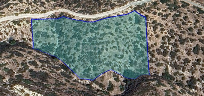 Agricultural field for sale in Limassol