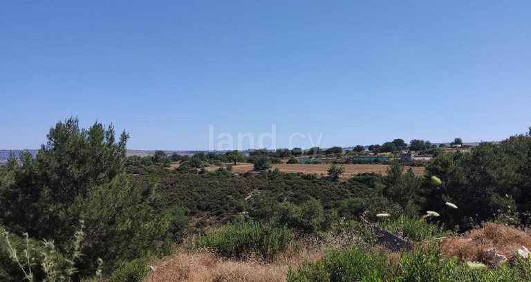 Terrain agricole à vendre à Paphos