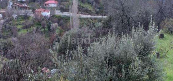 Campo residencial a la venta en Nicosia