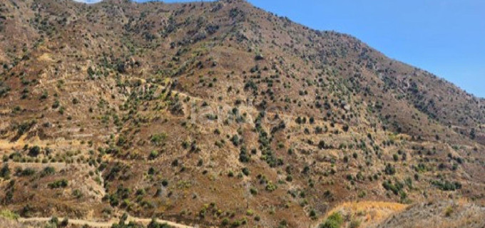 Campo agrícola a la venta en Larnaca