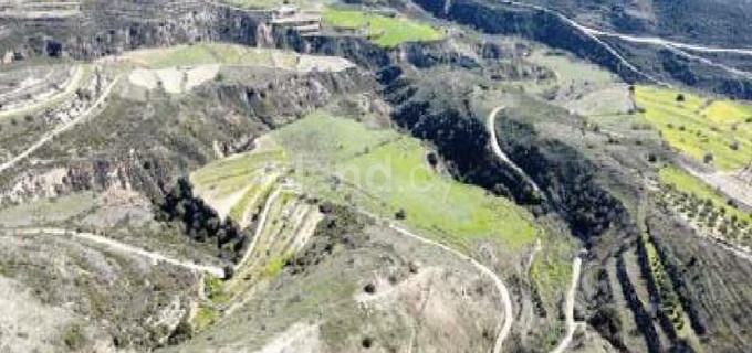 Αγροτικό αγροτεμάχιο προς πώληση - Λεμεσός