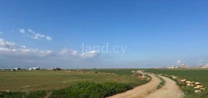 Agricultural field for sale in Nicosia