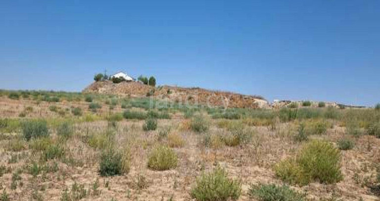 Αγροτικό αγροτεμάχιο προς πώληση - Λευκωσία
