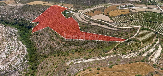 Agricultural field for sale in Paphos
