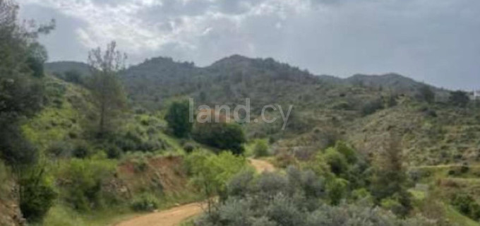 Αγροτικό αγροτεμάχιο προς πώληση - Λευκωσία