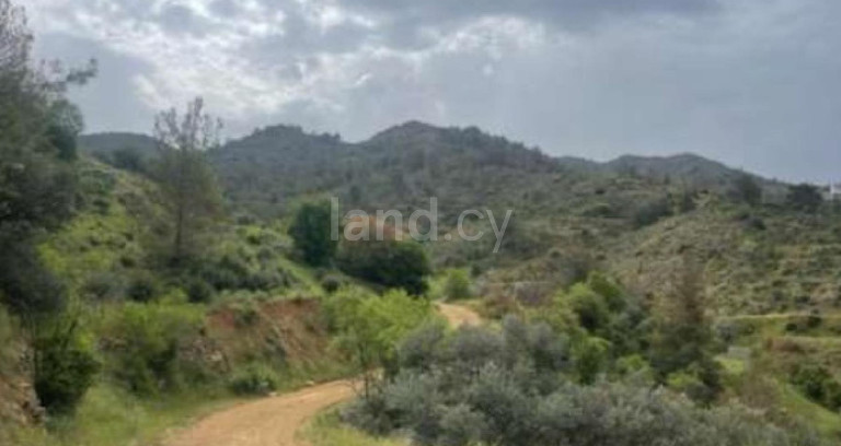 Agricultural field for sale in Nicosia