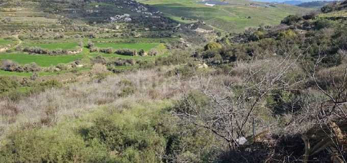 Landwirtschaftliches Baugebiet in Paphos zu verkaufen