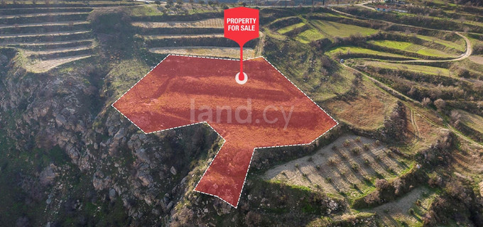 Agricultural field for sale in Paphos