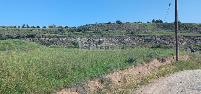 Agricultural field for sale in Nicosia
