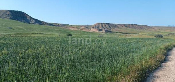Agricultural field for sale in Nicosia