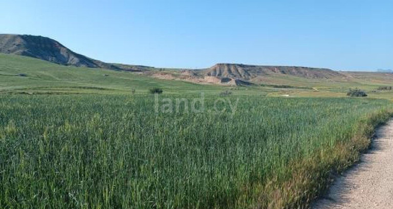 Agricultural field for sale in Nicosia