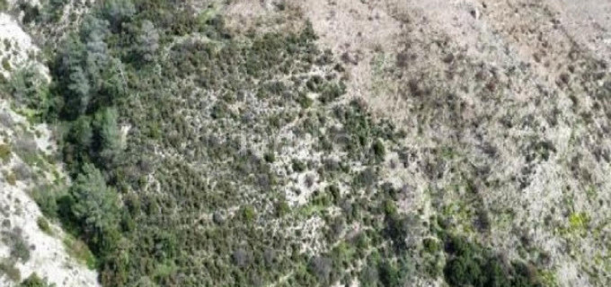 Landwirtschaftliches Baugebiet in Limassol zu verkaufen