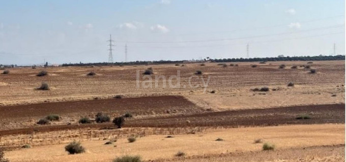 Agricultural field for sale in Nicosia