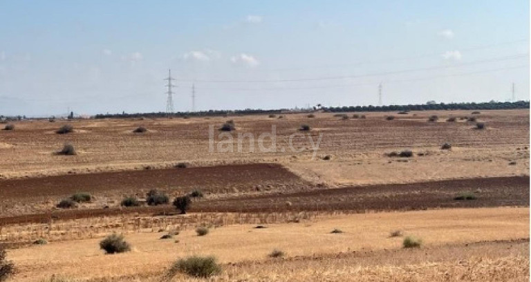 Agricultural field for sale in Nicosia