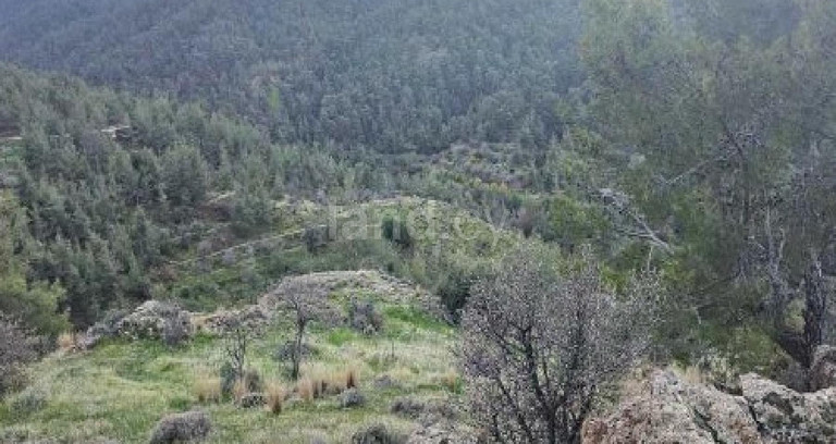 Agricultural field for sale in Nicosia