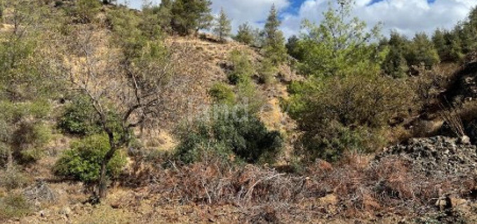Agricultural field for sale in Nicosia