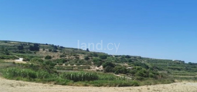 Terrain agricole à vendre à Paphos