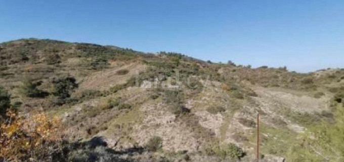 Agricultural field for sale in Nicosia