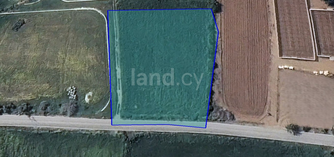 Residential field for sale in Paphos