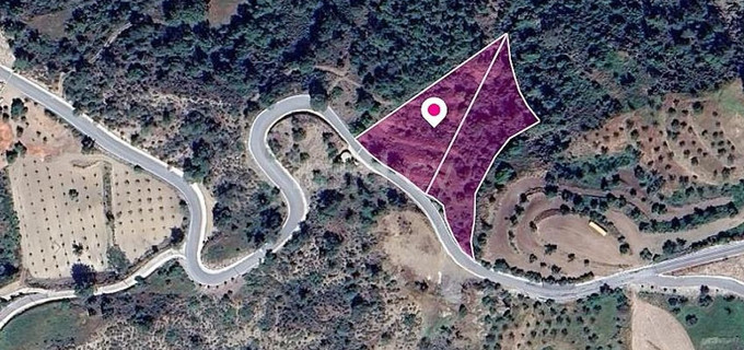 Field for sale in Paphos