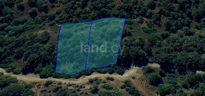 Terrain agricole à vendre à Limassol