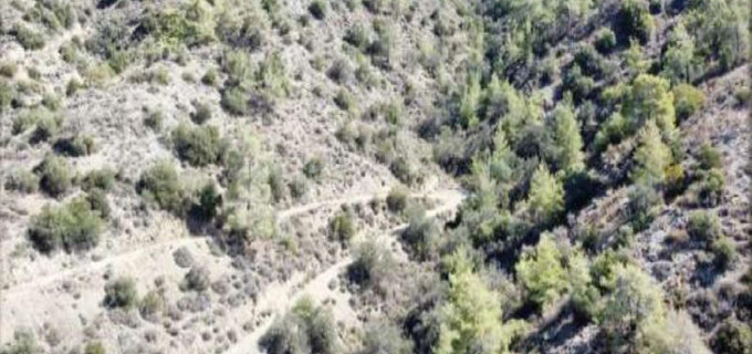 Terrain agricole à vendre à Limassol