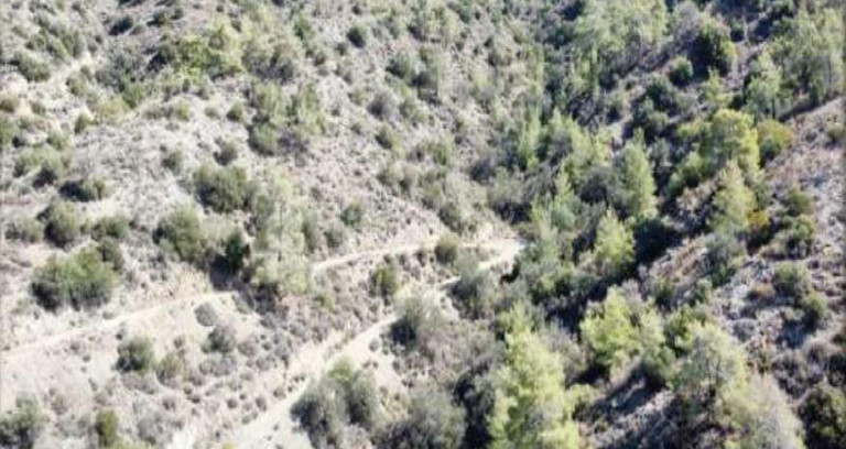 Agricultural field for sale in Limassol