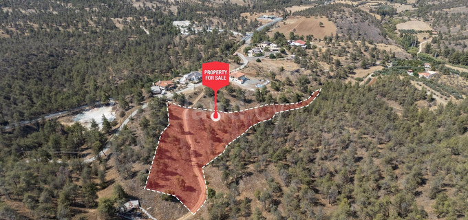 Agricultural field for sale in Nicosia