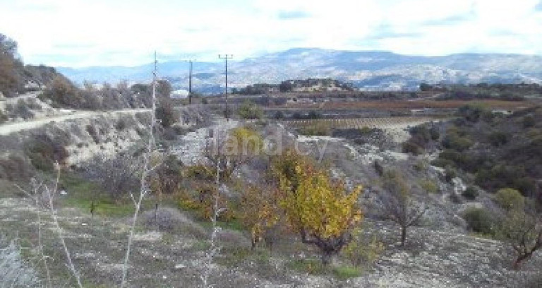 Pole rolne na sprzedaż w Paphos