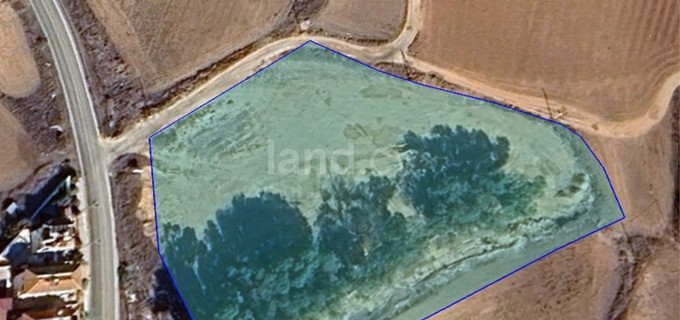 Residential plot for sale in Avgorou