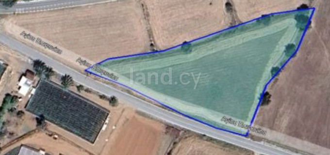 Field for sale in Paphos