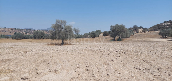 Αγροτικό αγροτεμάχιο προς πώληση - Λάρνακα