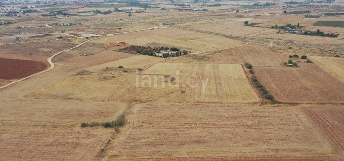 Agricultural field for sale in Avgorou