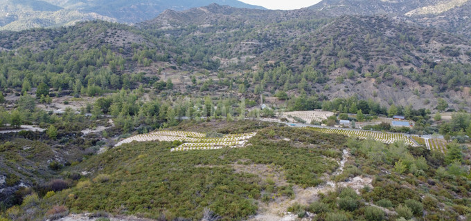 Αγροτικό αγροτεμάχιο προς πώληση - Λεμεσός