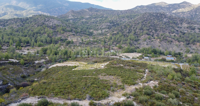 Campo agrícola a la venta en Limassol