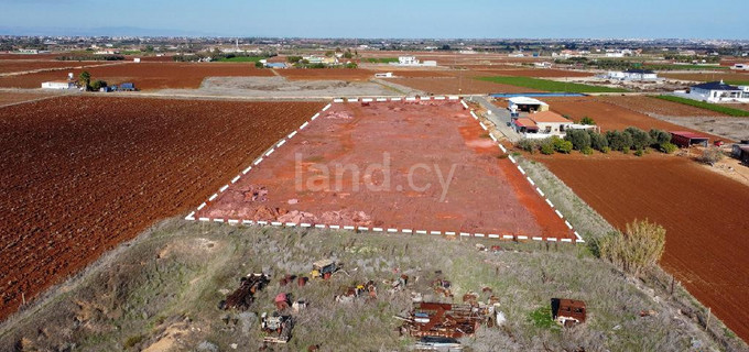 Jordbruksfält till salu i Larnaca